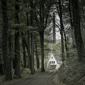 <a href="https://kadin24.com/uyeler/buselik/" rel="noreferrer ugc" target="_blank" style="color: inherit; text-decoration: none; transition: 0.2s;" onmouseover="this.style.color='#A77BCA'" onmouseout="this.style.color='inherit'">Buselik</a>