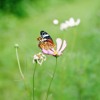 <a href="https://kadin24.com/uyeler/pink_butterfly92/" rel="noreferrer ugc" target="_blank" style="color: inherit; text-decoration: none; transition: 0.2s;" onmouseover="this.style.color='#A77BCA'" onmouseout="this.style.color='inherit'">Pink_Butterfly92</a>