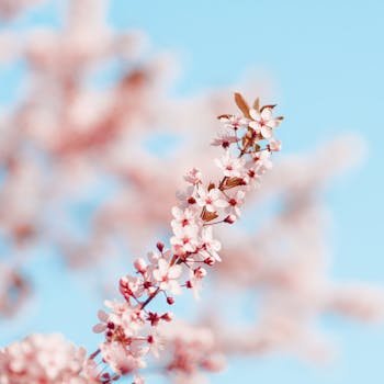 <a href="https://kadin24.com/uyeler/smyy21/" rel="noreferrer ugc" target="_blank" style="color: inherit; text-decoration: none; transition: 0.2s;" onmouseover="this.style.color='#A77BCA'" onmouseout="this.style.color='inherit'">Smyy21</a>