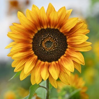 <a href="https://kadin24.com/uyeler/asilolanasli/" rel="noreferrer ugc" target="_blank" style="color: inherit; text-decoration: none; transition: 0.2s;" onmouseover="this.style.color='#A77BCA'" onmouseout="this.style.color='inherit'">asilolanasli</a>