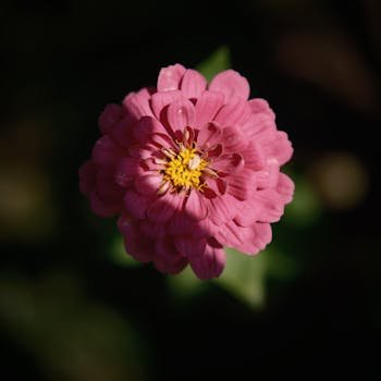 <a href="https://kadin24.com/uyeler/pinkpapatya/" rel="noreferrer ugc" target="_blank" style="color: inherit; text-decoration: none; transition: 0.2s;" onmouseover="this.style.color='#A77BCA'" onmouseout="this.style.color='inherit'">pinkpapatya</a>