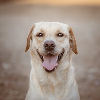 <a href="https://kadin24.com/uyeler/verygoody/" rel="noreferrer ugc" target="_blank" style="color: inherit; text-decoration: none; transition: 0.2s;" onmouseover="this.style.color='#A77BCA'" onmouseout="this.style.color='inherit'">verygoody</a>